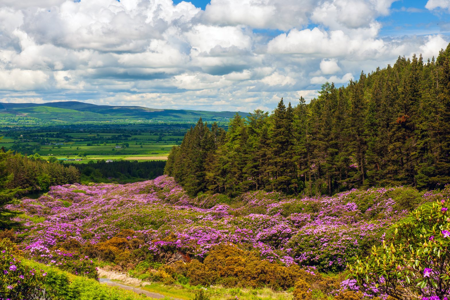 And the Winner Is… Our 1Medical Locum Photo Competition Results
